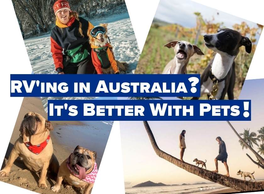 RV'ing in Australia? It's Better With Pets! 
