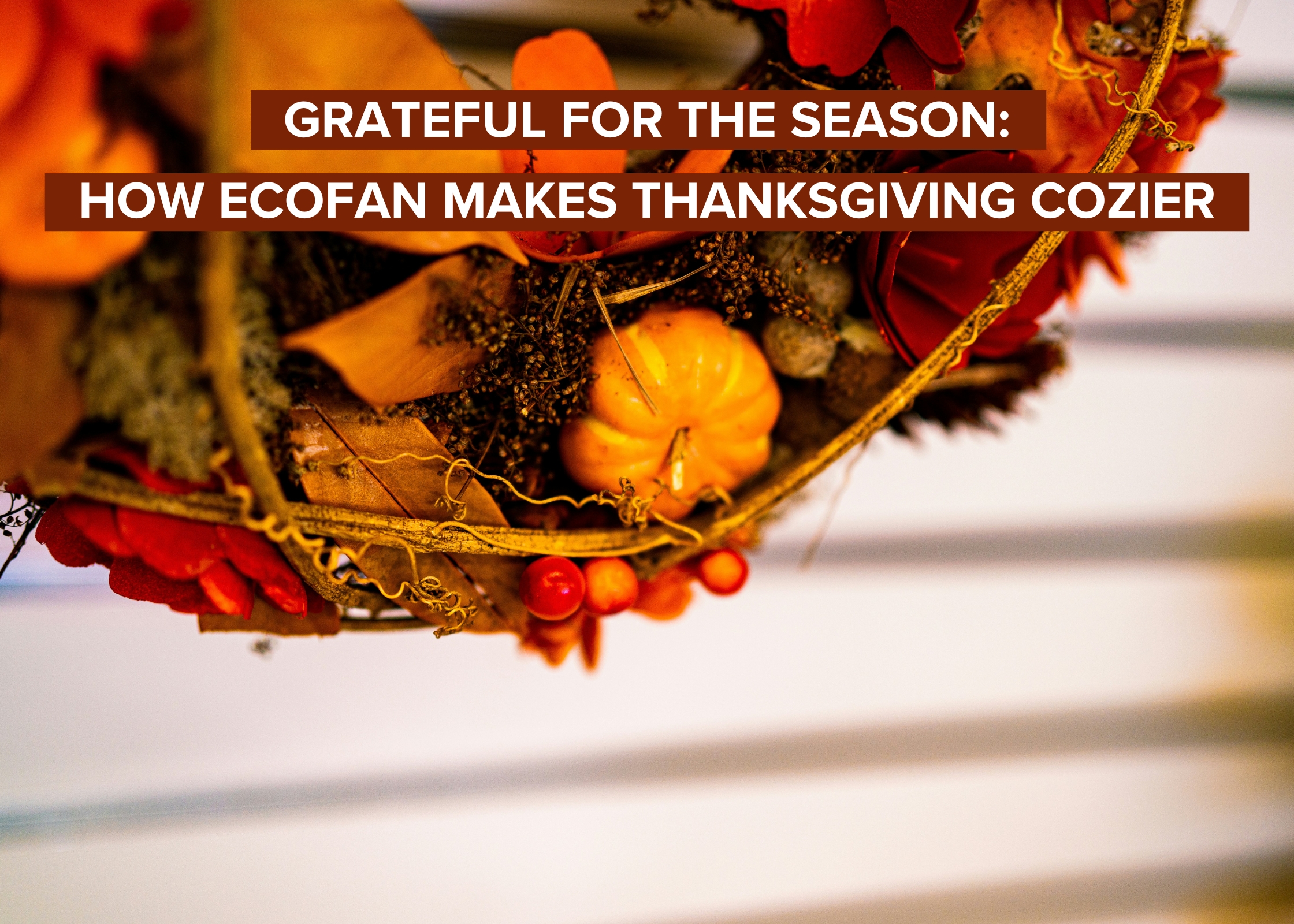 Grateful for the Season: How Ecofan Makes Thanksgiving Cozier